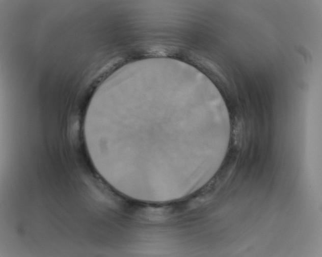 X0000113110314200910091205