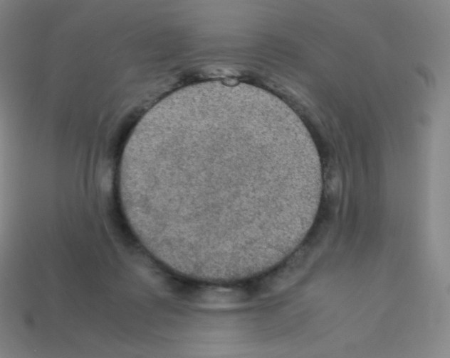 X0000113110315200910091205