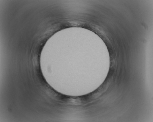 X0000113110317200910091204
