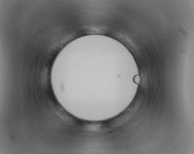 X0000113110318200910091204