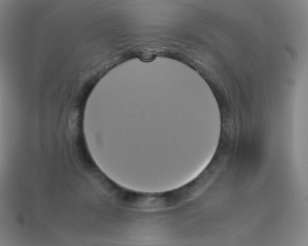 X0000113110319200910091204