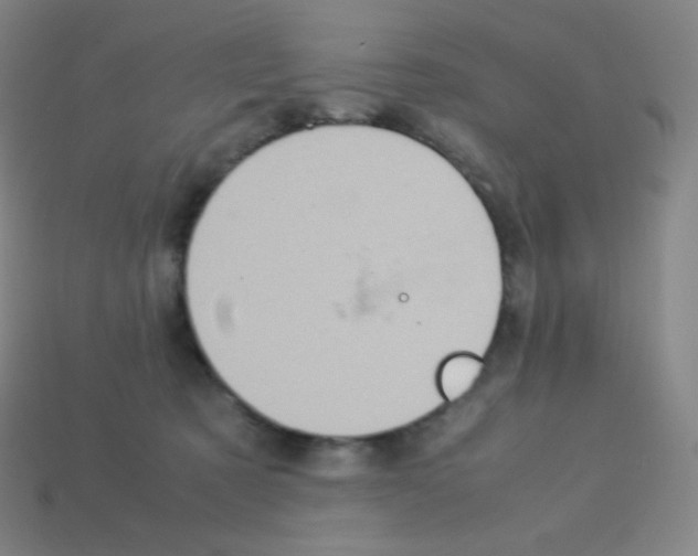 X0000113110321200910091204