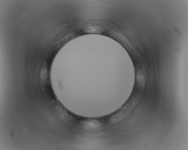X0000113110322200910091204