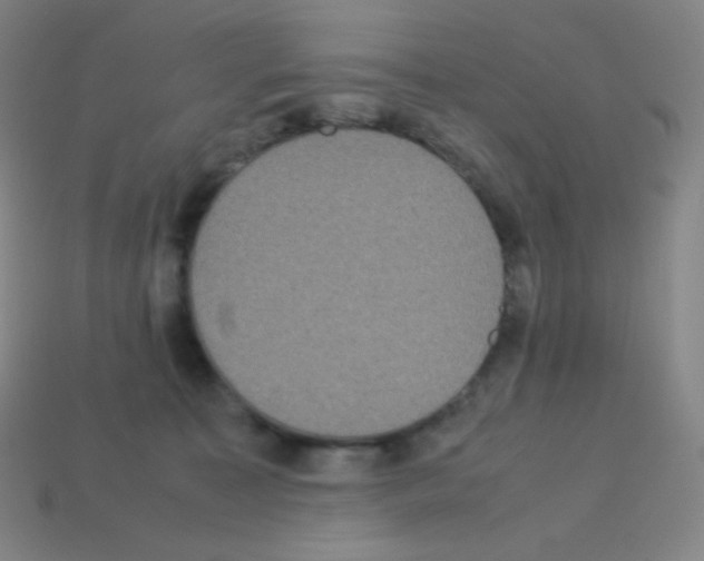 X0000113110323200910091204