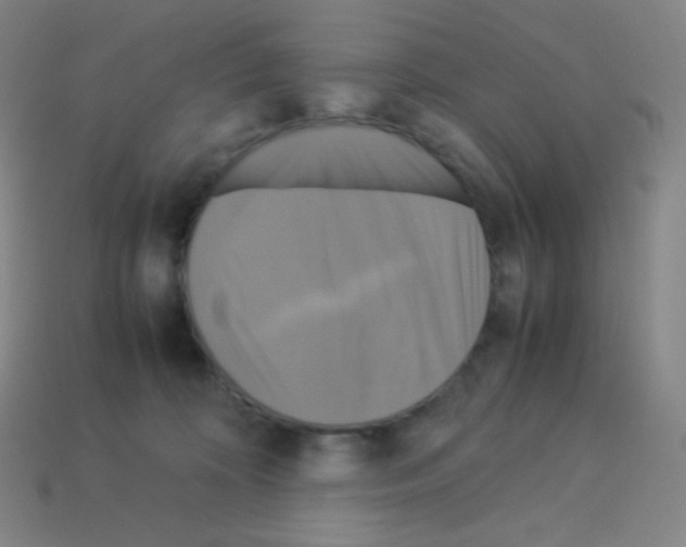 X0000113110324200910091204