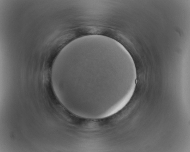 X0000113110325200910091204