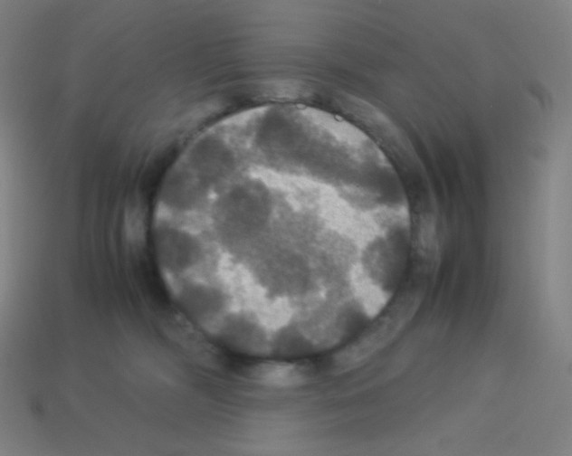X0000113110326200910091204