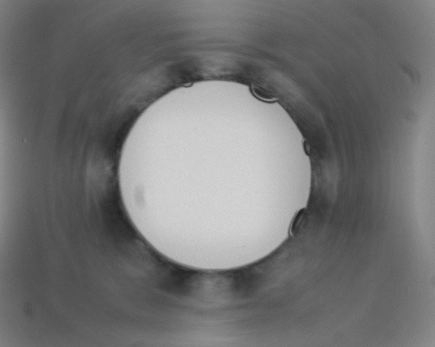 X0000113110327200910091204
