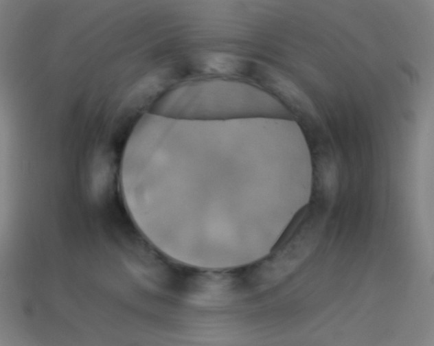 X0000113110328200910091204
