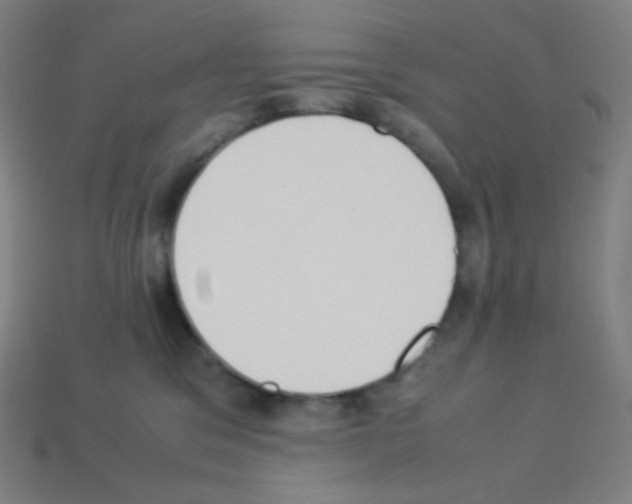 X0000113110329200910091204