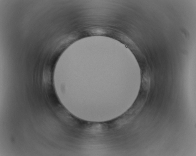 X0000113110330200910091204