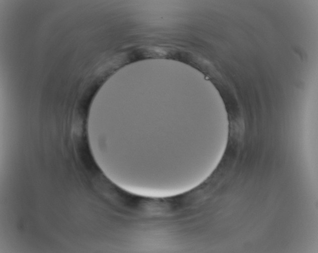 X0000113110331200910091204