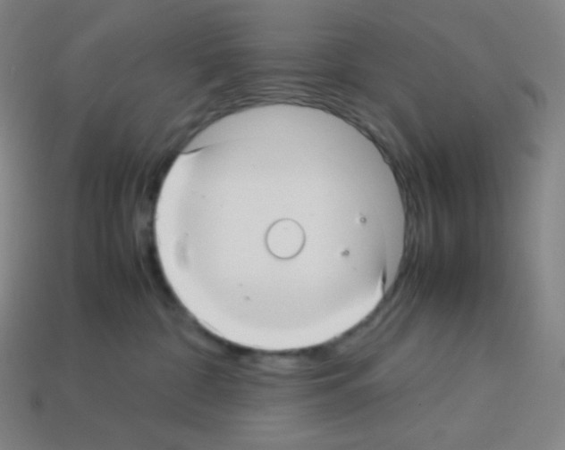 X0000113110332200910091204