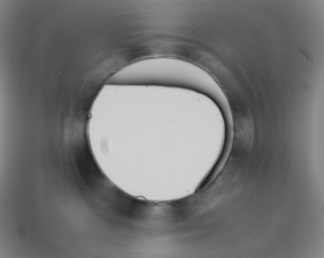 X0000113110333200910091204