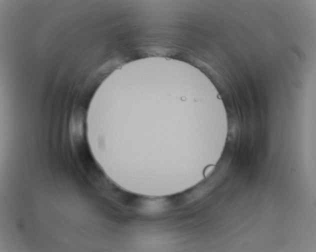 X0000113110334200910091204