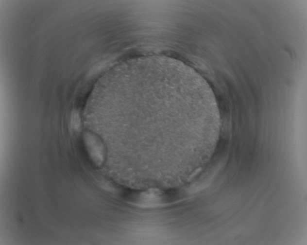 X0000113110335200910091204