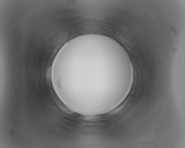 X0000113110336200910091204