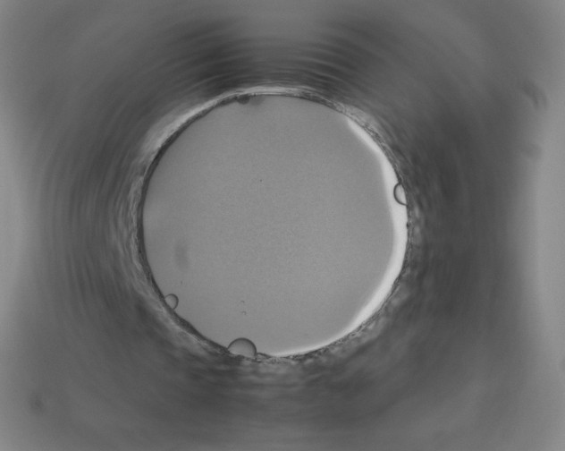 X0000113110337200910091204