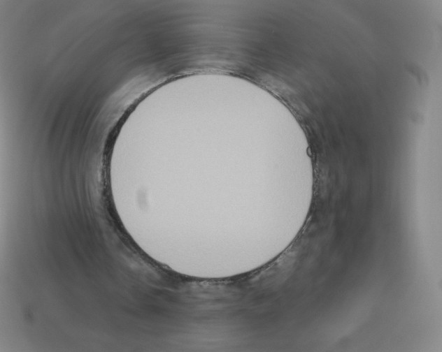 X0000113110338200910091204