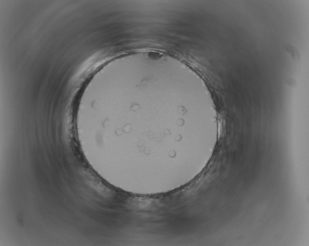 X0000113110339200910091204