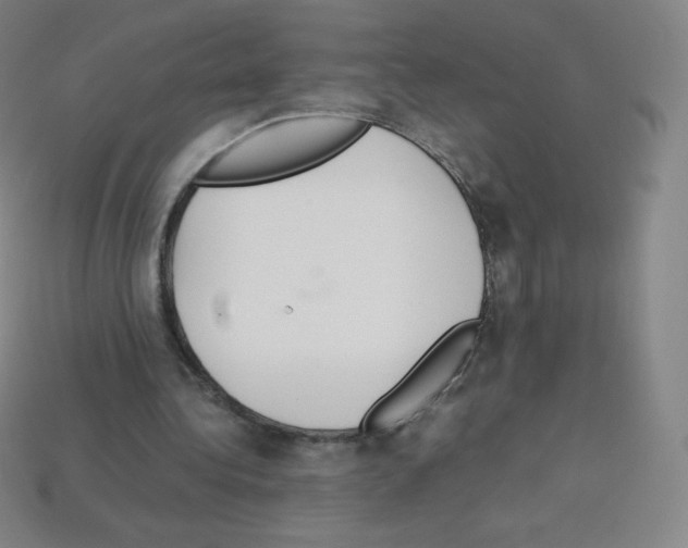 X0000113110340200910091204