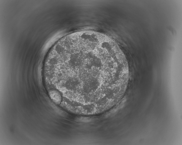 X0000113110341200910091204