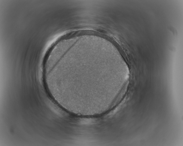 X0000113110342200910091204