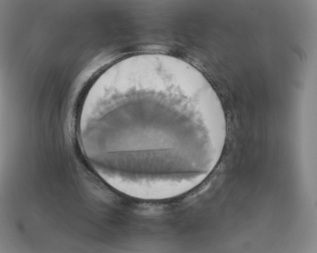 X0000113110343200910091204