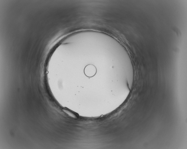 X0000113110344200910091204
