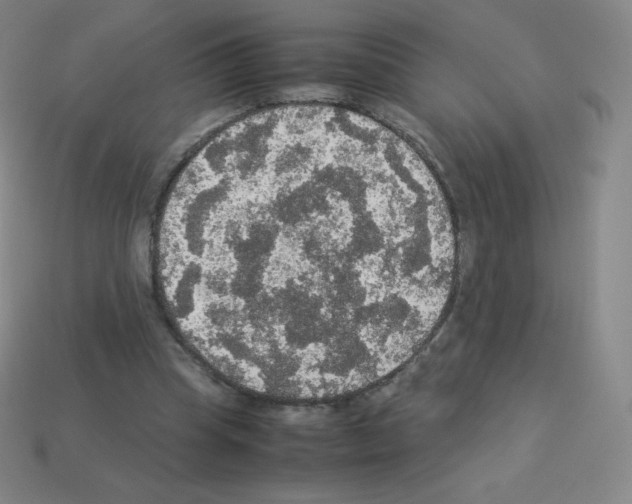 X0000113110345200910091204