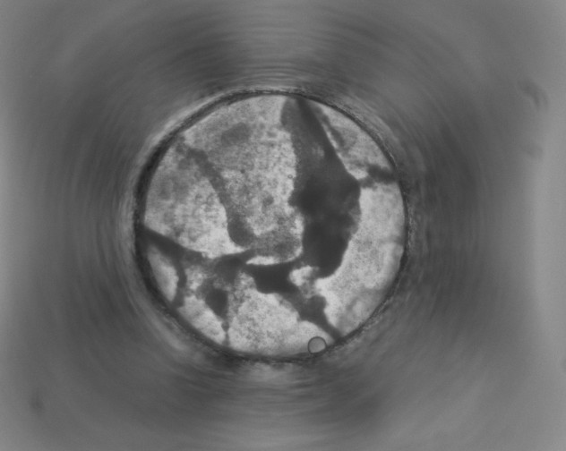 X0000113110346200910091204
