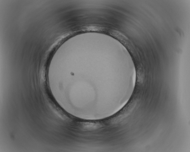 X0000113110347200910091204