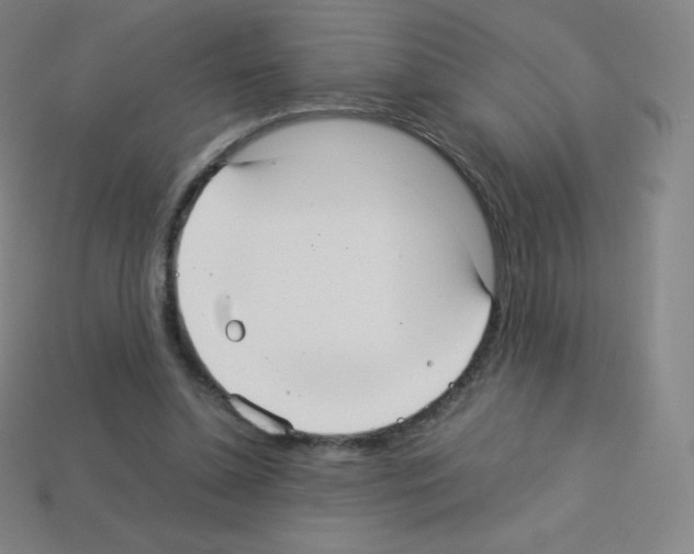 X0000113110348200910091204
