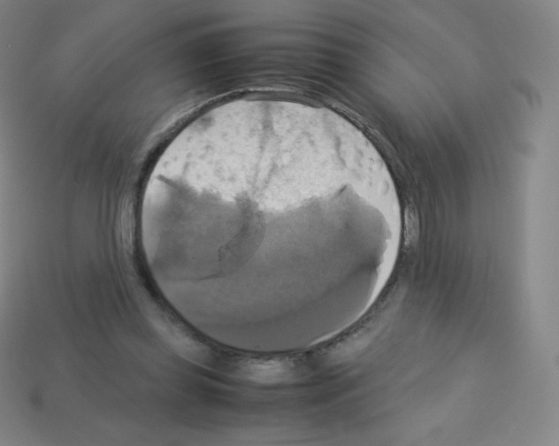 X0000113110349200910091204