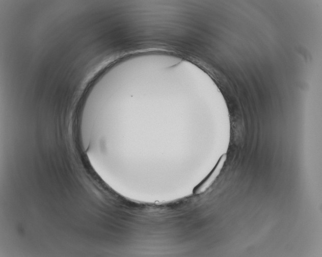 X0000113110350200910091204