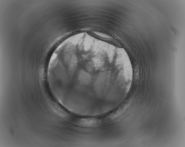 X0000113110351200910091204