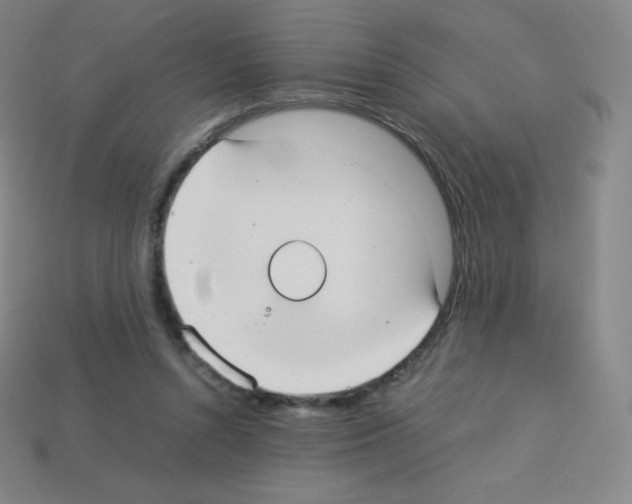 X0000113110352200910091204