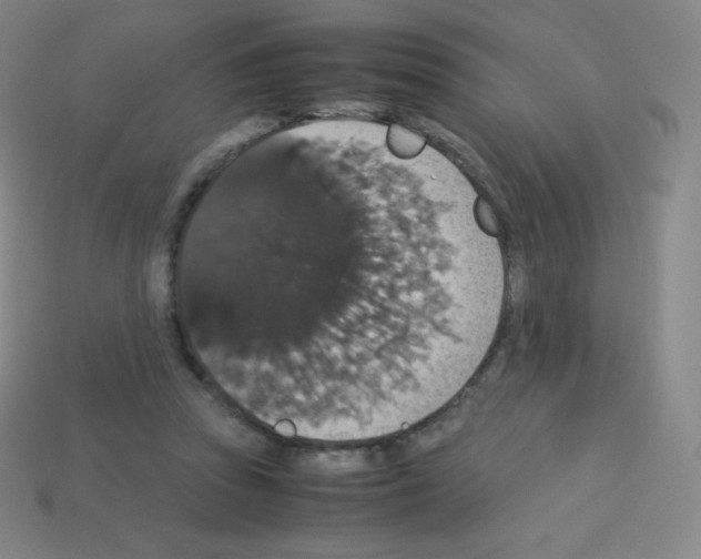 X0000113110353200910091204