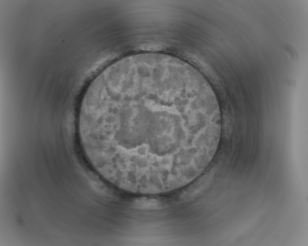 X0000113110354200910091204