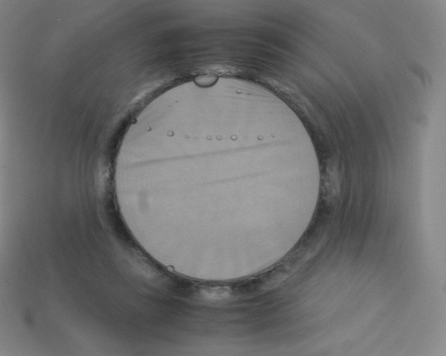 X0000113110355200910091204