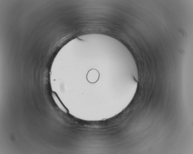 X0000113110356200910091204