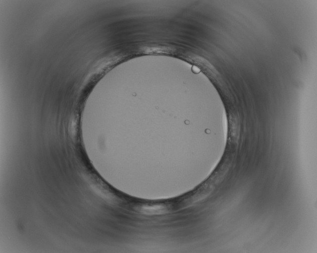 X0000113110357200910091204