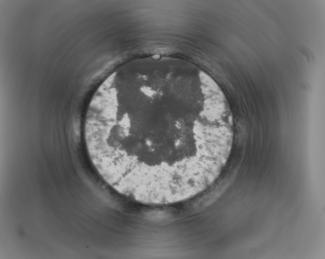 X0000113110358200910091204