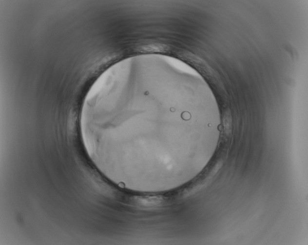 X0000113110359200910091204