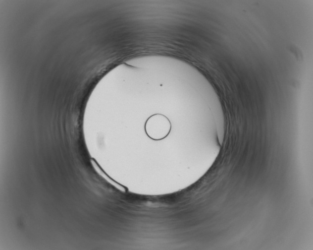 X0000113110360200910091204