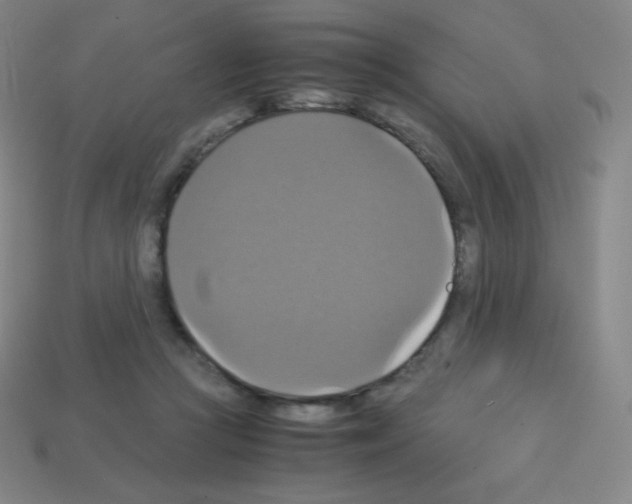 X0000113110361200910091204
