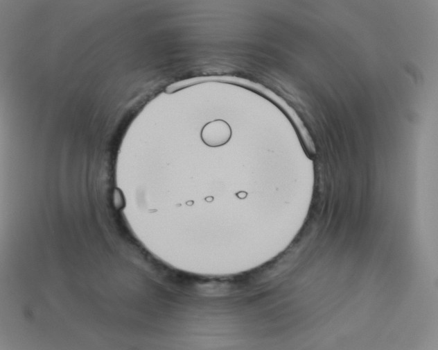 X0000113110362200910091204