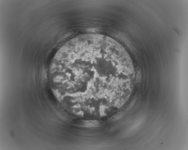 X0000113110363200910091204