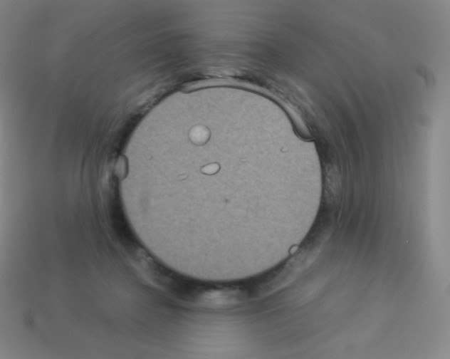 X0000113110364200910091204