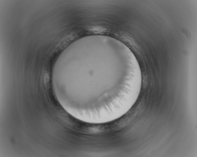 X0000113110365200910091204